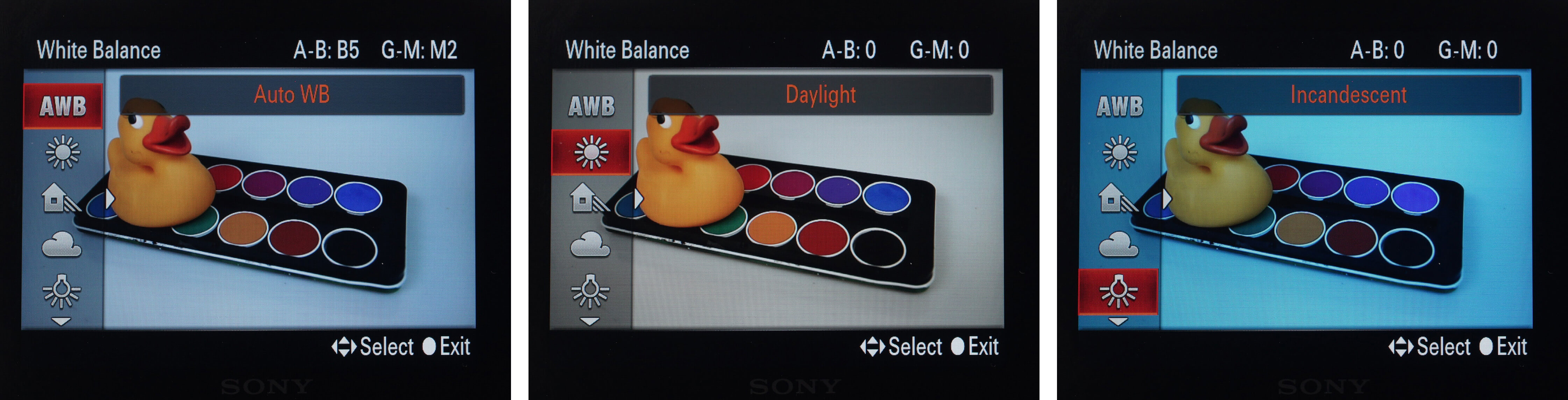 How To Check White Balance