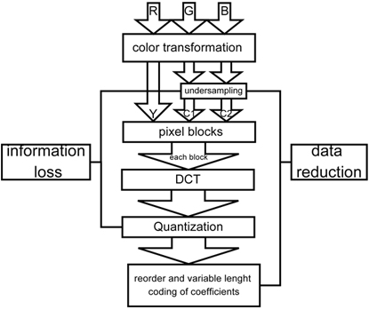 algorithm